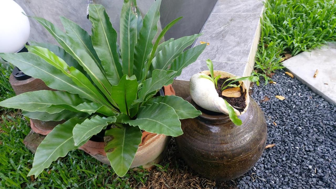 Marin' S Home タラーン エクステリア 写真